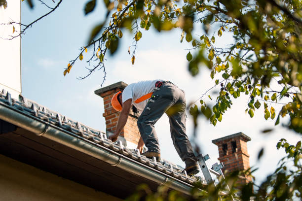 Quick and Trustworthy Emergency Roof Repair Services in Jackson, MI
