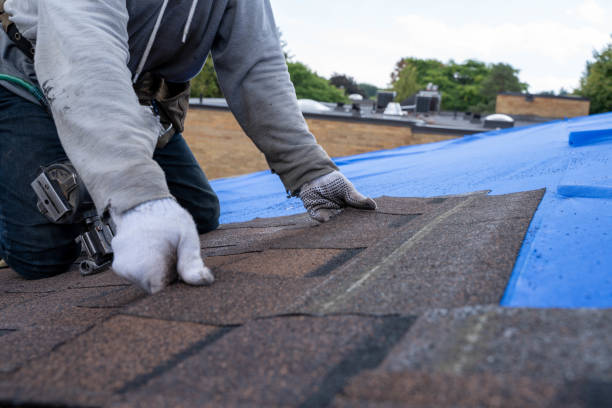 Best Flat Roof Repair Services  in Jackson, MI