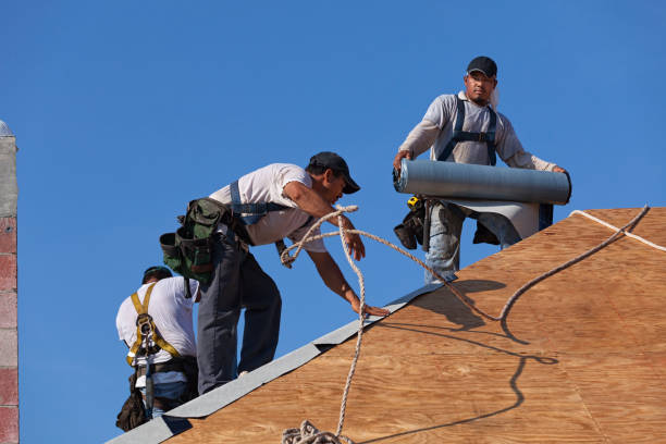 Best Metal Roofing Contractor  in Jackson, MI