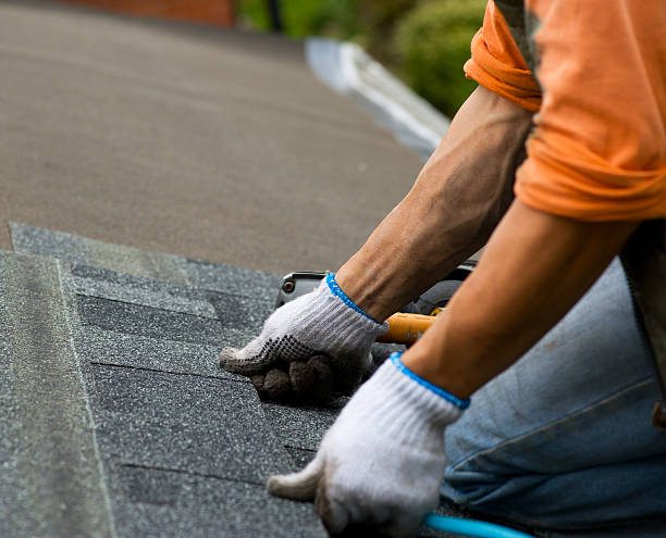 Best Residential Roofing Contractor  in Jackson, MI