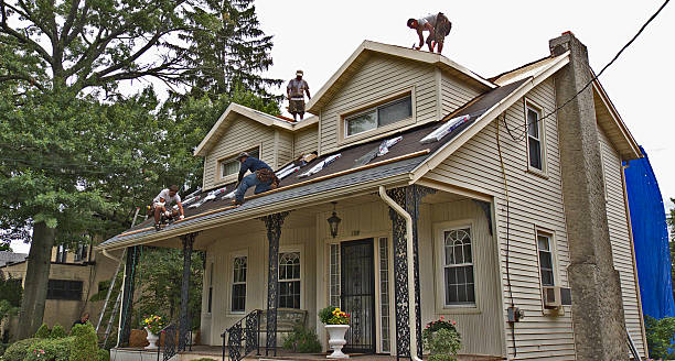 Best Sealant for Roof  in Jackson, MI
