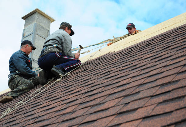 Best Emergency Roof Repair  in Jackson, MI