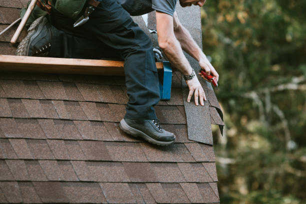 Best New Roof Installation  in Jackson, MI