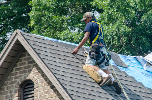 Best Best Roofing Contractors  in Jackson, MI
